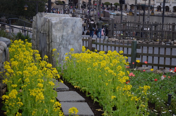 ３月ディズニーＢＤインパ 051