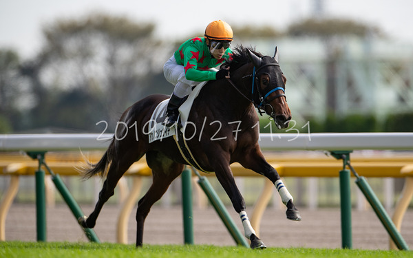 アカノニジュウイチ 2歳新馬
