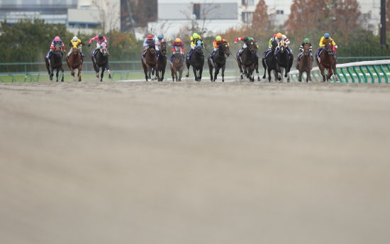 今年最後の中京競馬場へ カメラマン馬券師 あきちんのファインダー競馬