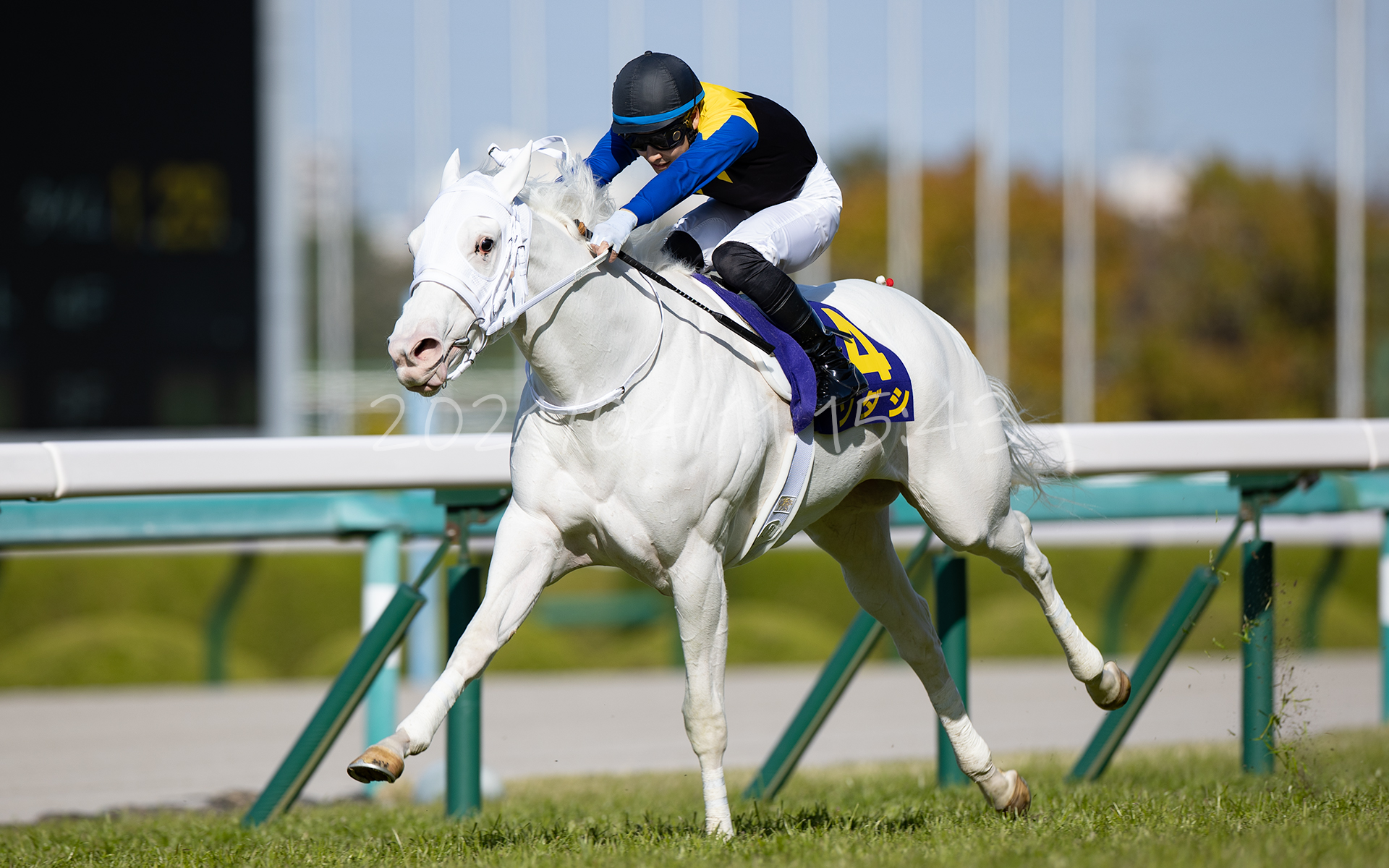 21 04 11 15 43 カメラマン馬券師 あきちんのファインダー競馬