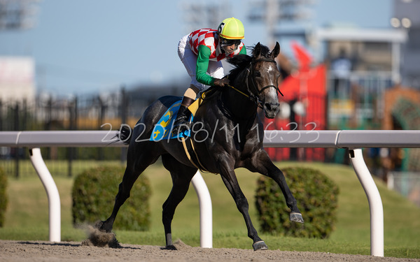 ナジャ スパーキングデビュー新馬