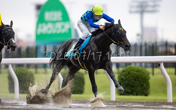 サンエイウルフ スパーキングデビュー新馬