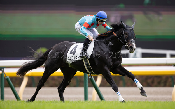 エピファニー 3歳1勝クラス