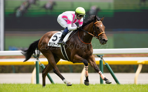 モリアーナ 2歳新馬