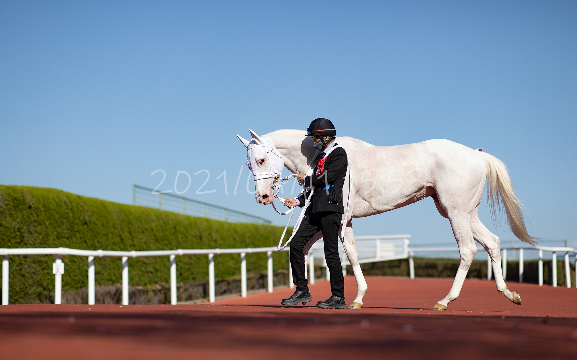 21 04 11 15 53 カメラマン馬券師 あきちんのファインダー競馬