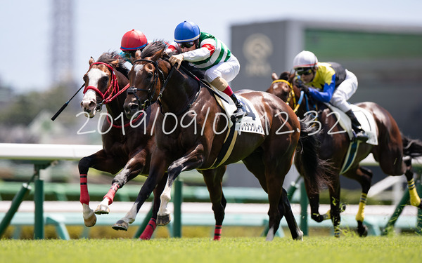 ブレッシングレイン 2歳新馬