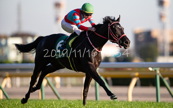コントレイル 東京スポーツ杯2歳S