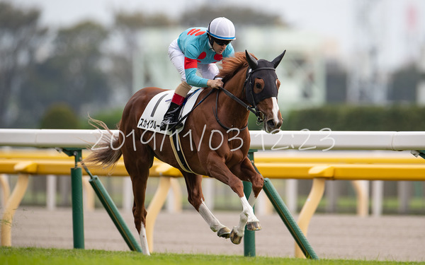 スカイグルーヴ 2歳新馬