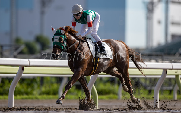 トゥースパークル 2歳新馬