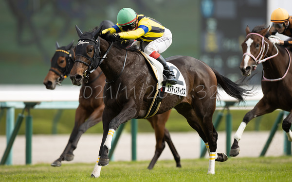 スタティスティクス 2歳未勝利