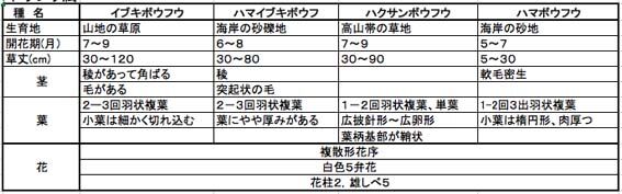 ボウフウ