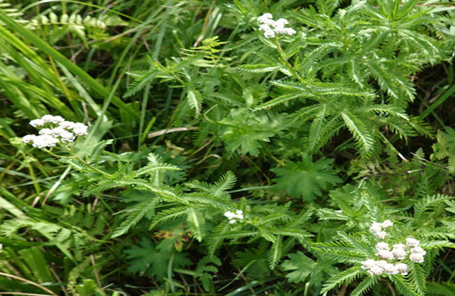 �ֽ��ʥ�ޡ�