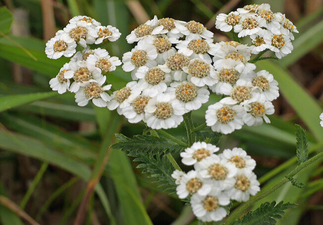 �֡ʥ�����