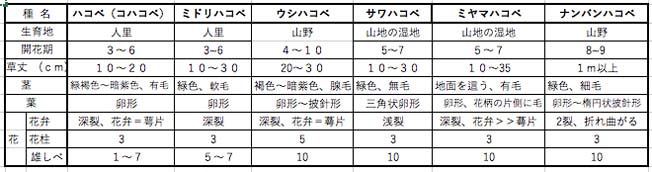 ハコベ