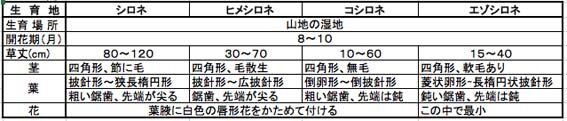 シロネ