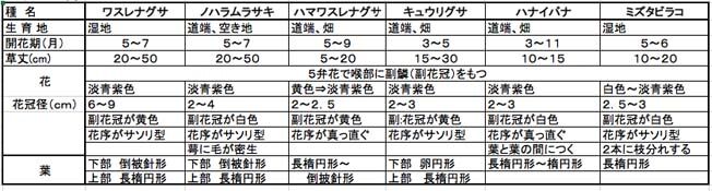 ムラサキ