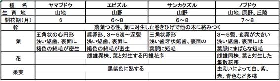 ブドウ
