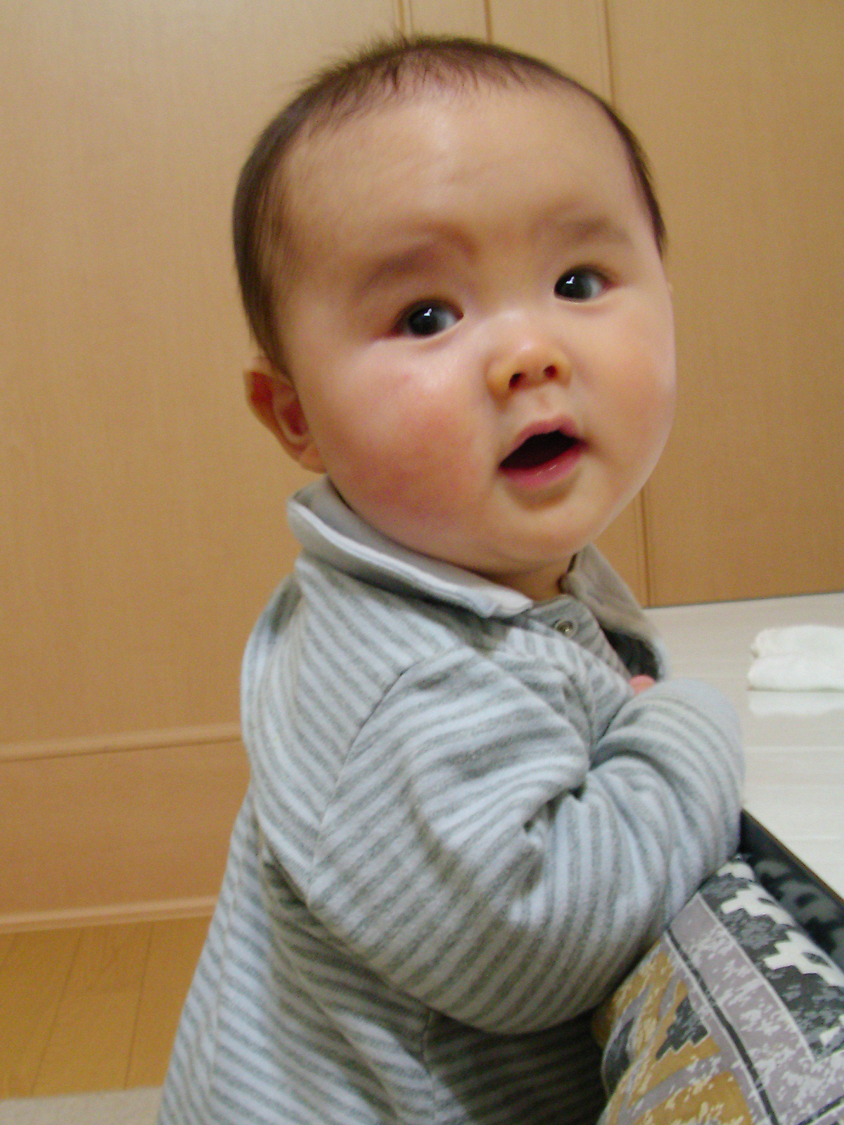 立ちたがり Photo日記