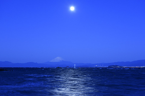 ４月葉山