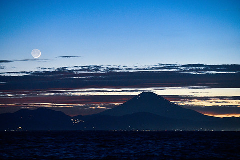 ７月城ヶ島