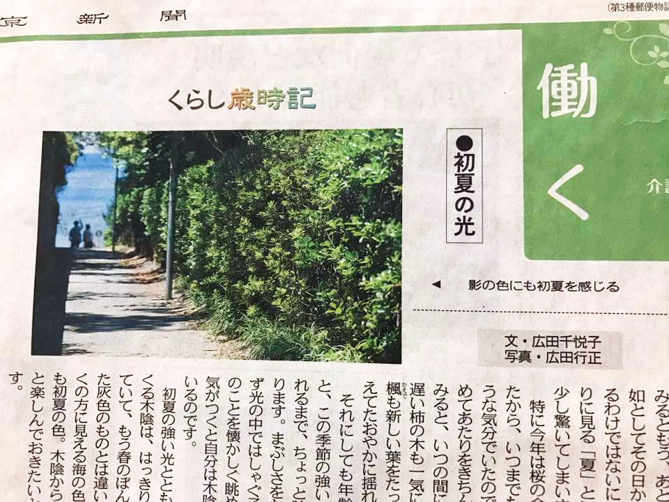 中日新聞 東京新聞の連載 くらし歳時記 写真家広田行正のスタジオ秋谷四季日記