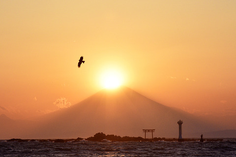 3月葉山