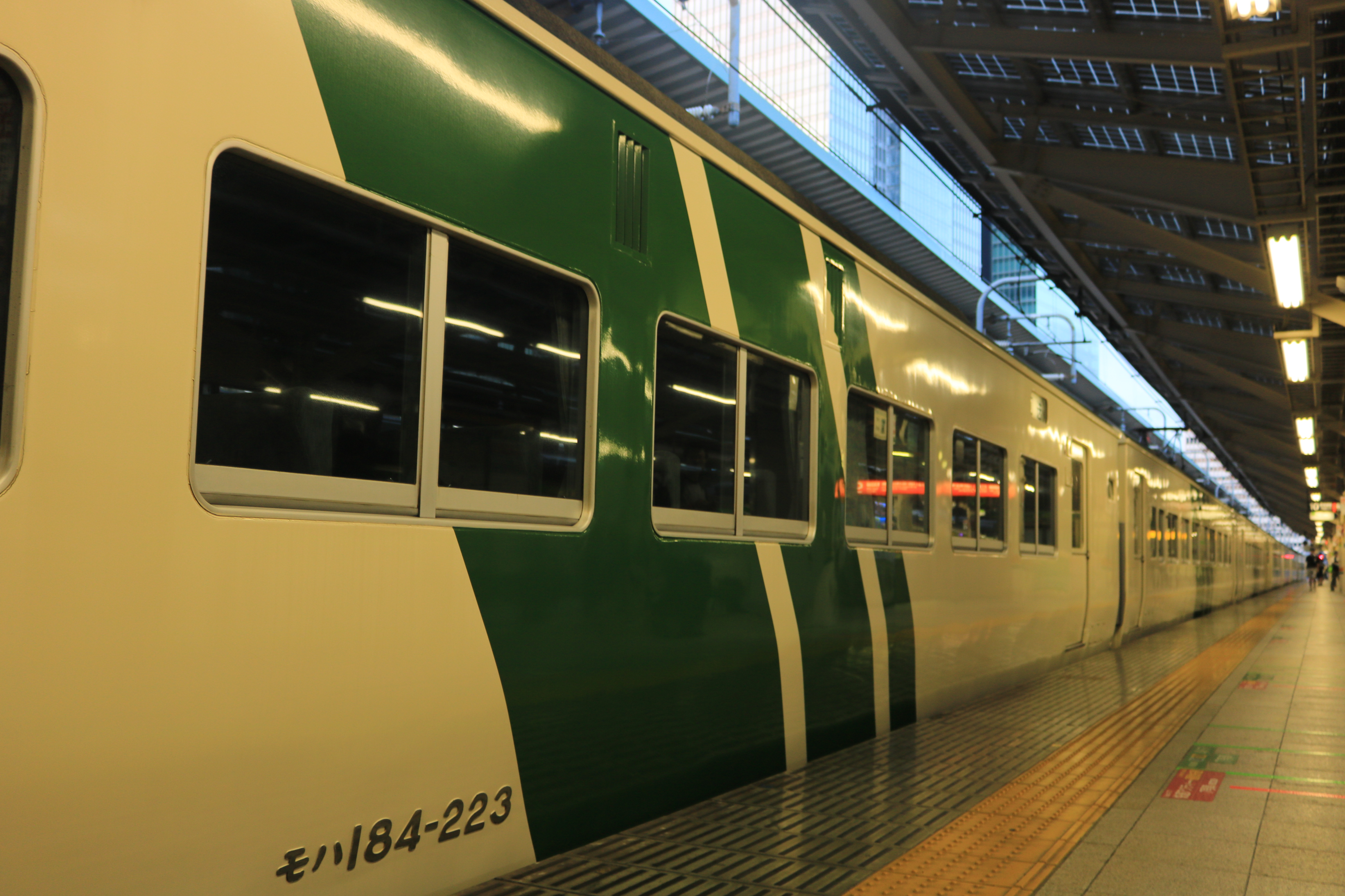 19 08 04 夏の大遠征19 3日目 踊り子号の185系を撮りまくる しめじの鉄道求めて三千里