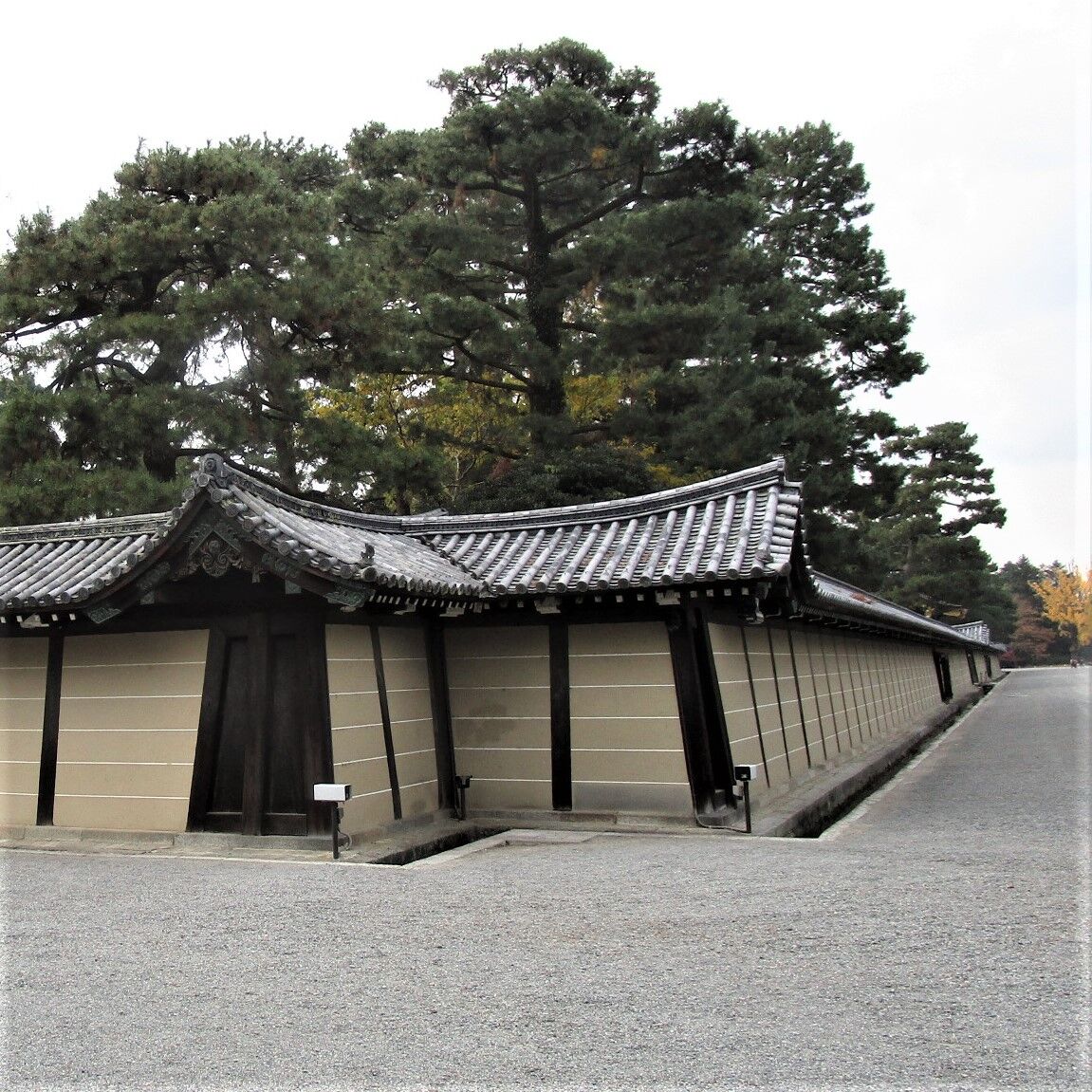 秋月瑛二の 自由 つぶやき日記 秋月瑛二の 自由 つぶやき日記