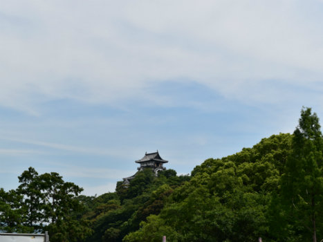 DSC_1167.jpg