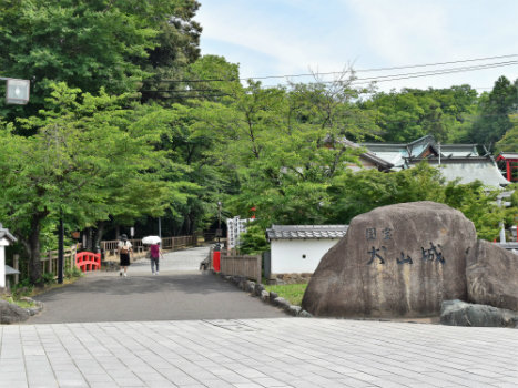 DSC_1158.jpg