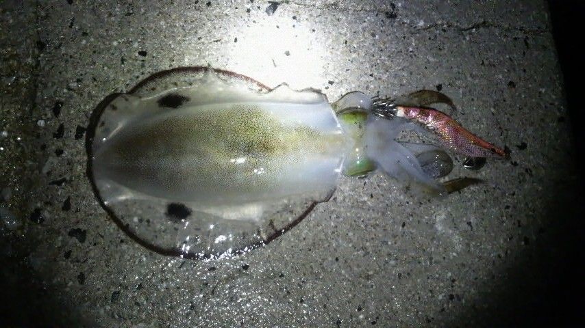 2011102821310000