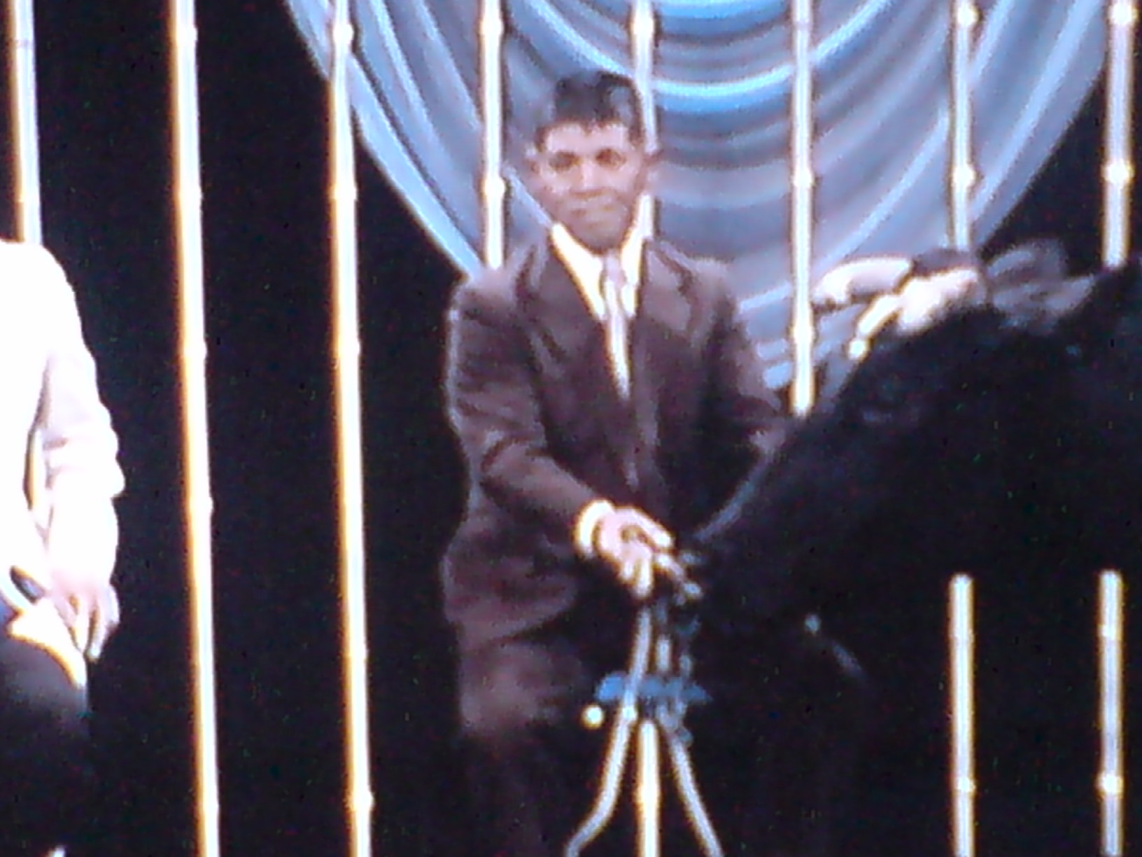 吉田くんのお父さん アッキーの幸せ日記 Akki S Happy Diary