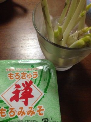 このコンビ、最強なんやで!