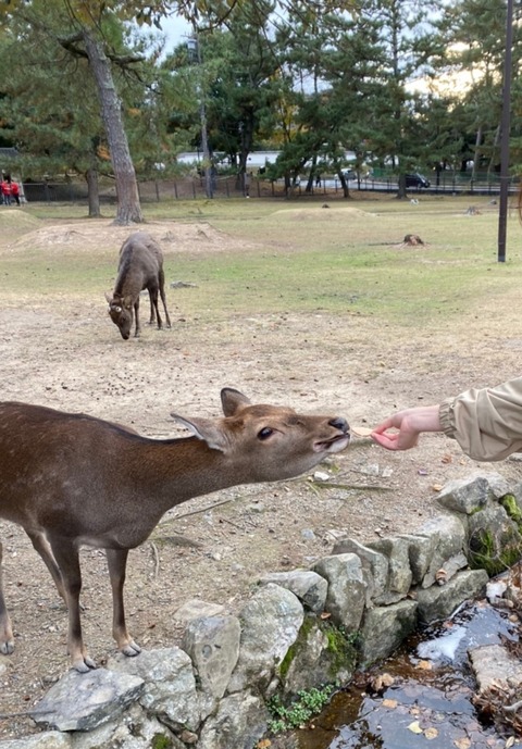 line_70916548379919~2