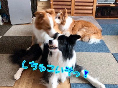 A82F5DF7-7176-4802-A19B-3F74B14015DA