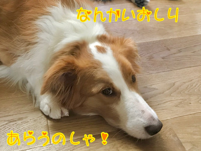 440E1747-5EFC-4505-96D2-816BEE794342