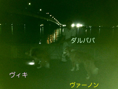 52CB6AD3-E59E-47C0-923F-2D51E85D8EBC
