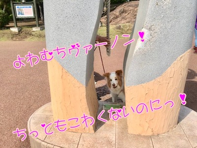 221E0FB7-A8F5-4A93-B0EB-21CF2F5F7CBA