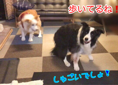 6F5D946F-7BAC-4EE2-991F-2F12346CA378