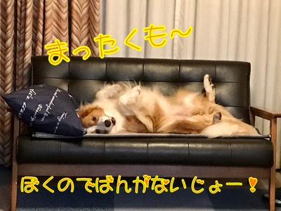751A6AF9-BE72-4B5A-A489-3AFE85E98685