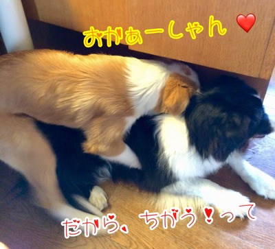 C9DF7629-348B-4B6A-AA69-5EC52159AD8F