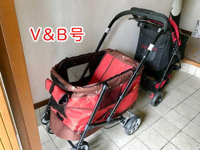 648F4FD6-D5A1-4040-B7E2-142B6662C35D
