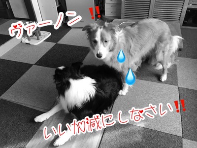 3A55DB40-134B-4889-A5F8-5BE885667D7B
