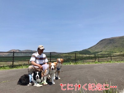 46E79633-54D2-465E-94D2-706DF3A91F23