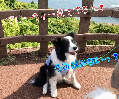 EC173592-F20C-40E4-9BD9-43BEE7451BFE