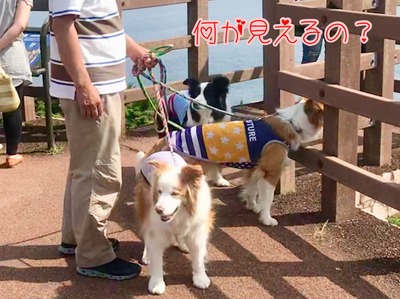 4777F8AD-84D2-4F7F-87F0-2DB1D2CE4FBC