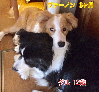 F91C8439-90E6-49F0-B537-D73DC027E987