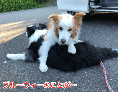 45CF9C52-29E8-428F-954D-55D8D54A212F