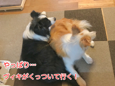 8FD43635-8DEC-4A4F-9760-99A428EE9615