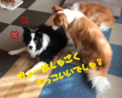 A42347B4-353A-4D54-A8DA-F2AE5496996B